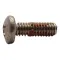 Seat Screw  for T&S Brass Part# TS20L