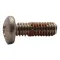 Seat Screw  for T&S Brass Part# TS4X