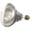 Infra-Red Lamp (Clear)125V, 250W for Hatco Part# WHITE-CTD-120