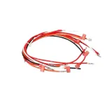 Cpu Cmpnt Shl Wireassy For Frymaster Part# Wir0163Sp