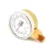 Pressure Gauge, Dual  for Groen Part# Z008345