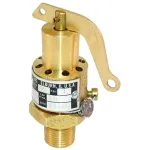 Safety Valve for Groen Part# Z014355