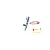 140115 Henny Penny alternate view 5