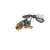 FK110613 Cleveland alternate view 3