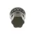 M00209 Globe alternate view 1