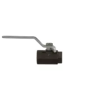 SK2379301 Cleveland alternate view 1