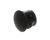 00669.0003 Bunn alternate view 2