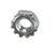 00971.0000 Bunn alternate view 3