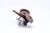 01-404675-00851 Berkel alternate view 1