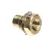 01065275 Follett alternate view 2