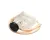 01093517 Follett alternate view 5