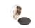 012640-45 T&S Brass alternate view 4