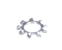 01512.0000 Bunn alternate view 1