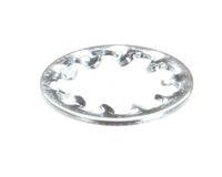01532.0001 Bunn alternate view 2