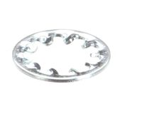 01532.0001 Bunn alternate view 5