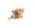 0C6693 Electrolux Professional alternate view 5