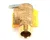 0P-621171 Stero Dishwasher alternate view 4