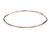 0USL58 Electrolux Professional alternate view 5