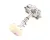 13898 Blakeslee alternate view 5