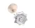 13898 Blakeslee alternate view 6