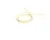 1400484948 Schaerer alternate view 3