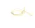 1400484948 Schaerer alternate view 4