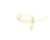 1400484948 Schaerer alternate view 5