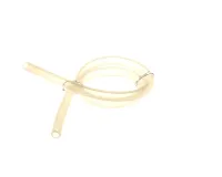 1400484948 Schaerer alternate view 6
