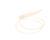 1400484949 Schaerer alternate view 2