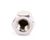 14301 Nieco alternate view 5