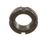 16081 Blakeslee alternate view 5