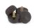 17919 Blakeslee alternate view 4