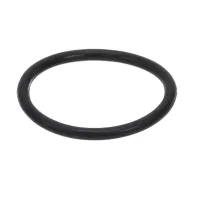 1800681100 Blomberg alternate view 6