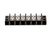 18607-0010 Carter-Hoffmann alternate view 5