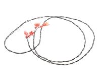 20-47050 Structural Concepts alternate view 4