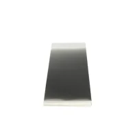 217300003 Blomberg alternate view 4