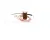 2203790 Stoelting alternate view 2