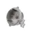 223910058 Blomberg alternate view 3