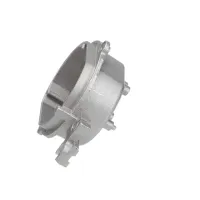223910058 Blomberg alternate view 4