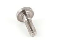 23503 Silver King alternate view 3