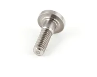 23503 Silver King alternate view 4