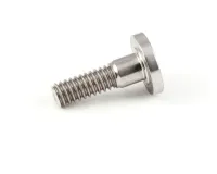 23503 Silver King alternate view 5