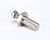 23849 Silver King alternate view 5