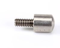 24305 Silver King alternate view 1