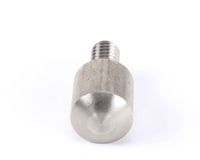 24305 Silver King alternate view 4