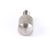 24305 Silver King alternate view 4