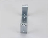 24494 Silver King alternate view 4