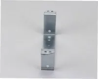 24494 Silver King alternate view 6