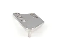 24560 Silver King alternate view 5