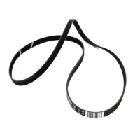2466300201 Blomberg alternate view 1